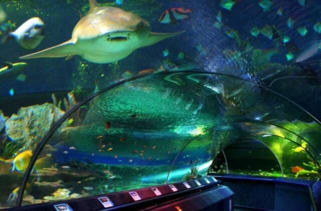 Гостиница Лето Санкт-Петербург-27